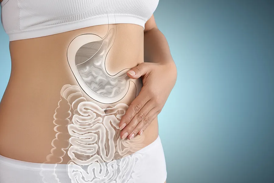 Gut-Health-Doctor Close up of the midriff of a woman with white underwear and an illustration of the digestive system superimposed over the image. Get help for digestive issues and gut health from Frank Lanzisera, D.C. in Tampa Bay Metro.