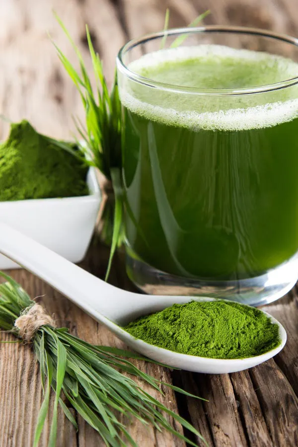 Immune-Boost-Injections-Treatment Healthy green juice and herbs. Get Tri-Immune Boost Injection treatments from Frank Lanzisera, D.C. in Tampa Bay Metro.
