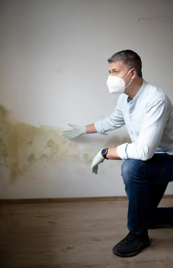 Mold-and-Mycotoxin-Treatment A building professional in a protective mask points out mold damage on a wall. Get treatment for mold and mycotoxin illness from Frank Lanzisera, D.C. in Tampa Bay Metro.