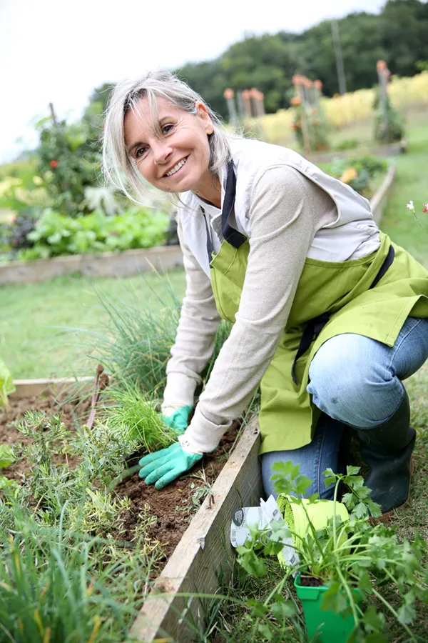 Rheumatoid-Arthritis-Treatment A mature woman bending down working on her garden happily after successful rheumatoid arthritis treatment from Frank Lanzisera, D.C. in Tampa Bay Metro.
