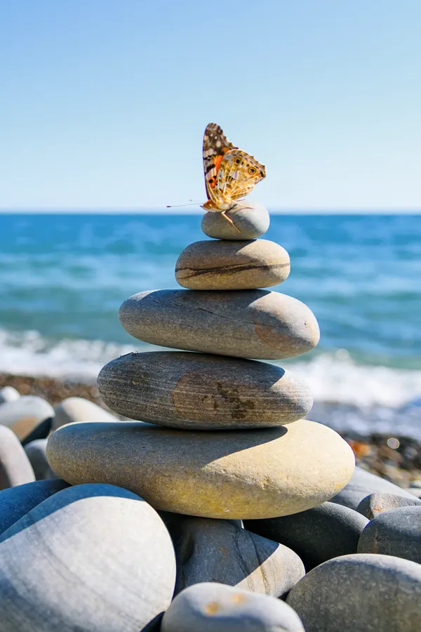 Timeless-IV-Therapy-Treatment A butterfly on top of a stack of stones. Get Timeless IV therapy from Frank Lanzisera, D.C. in Tampa Bay Metro.